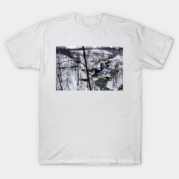 Albion Falls Gorge Winter T-Shirt by srosu